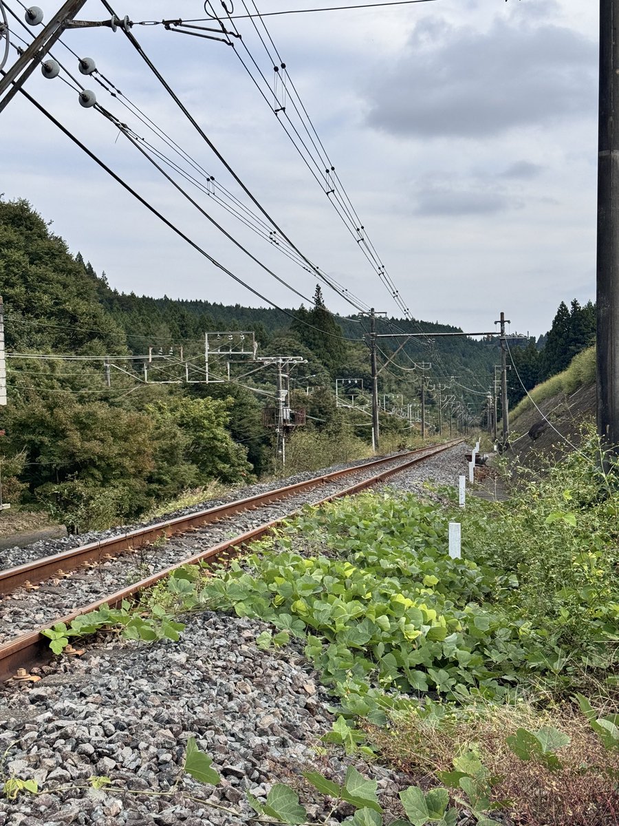 先日の聖飢魔IIの集ひで
篁さんが言ってた
機関車EF63と言えばココ