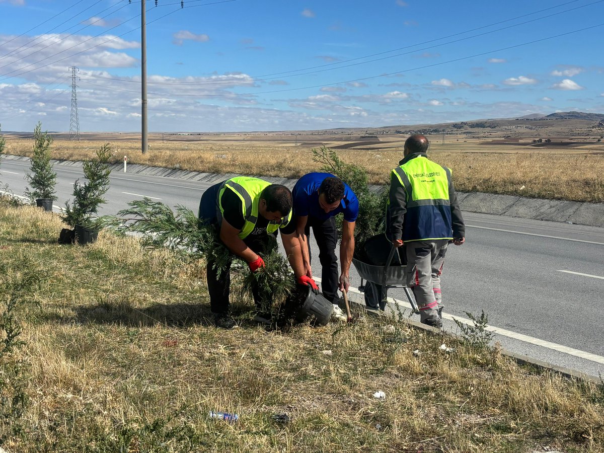 serkankoyuncu03's tweet photo. Yeşillendirmeye devam ediyoruz. 
Çevreyolu peyzaj çalışmaları kapsamında, 1500 adet #fidanı orta refüjlerde toprakla buluşturuyoruz. 
Daha yeşil bir #Emirdağ için,
Sizleri de bekleriz. https://t.co/baUubskk7i