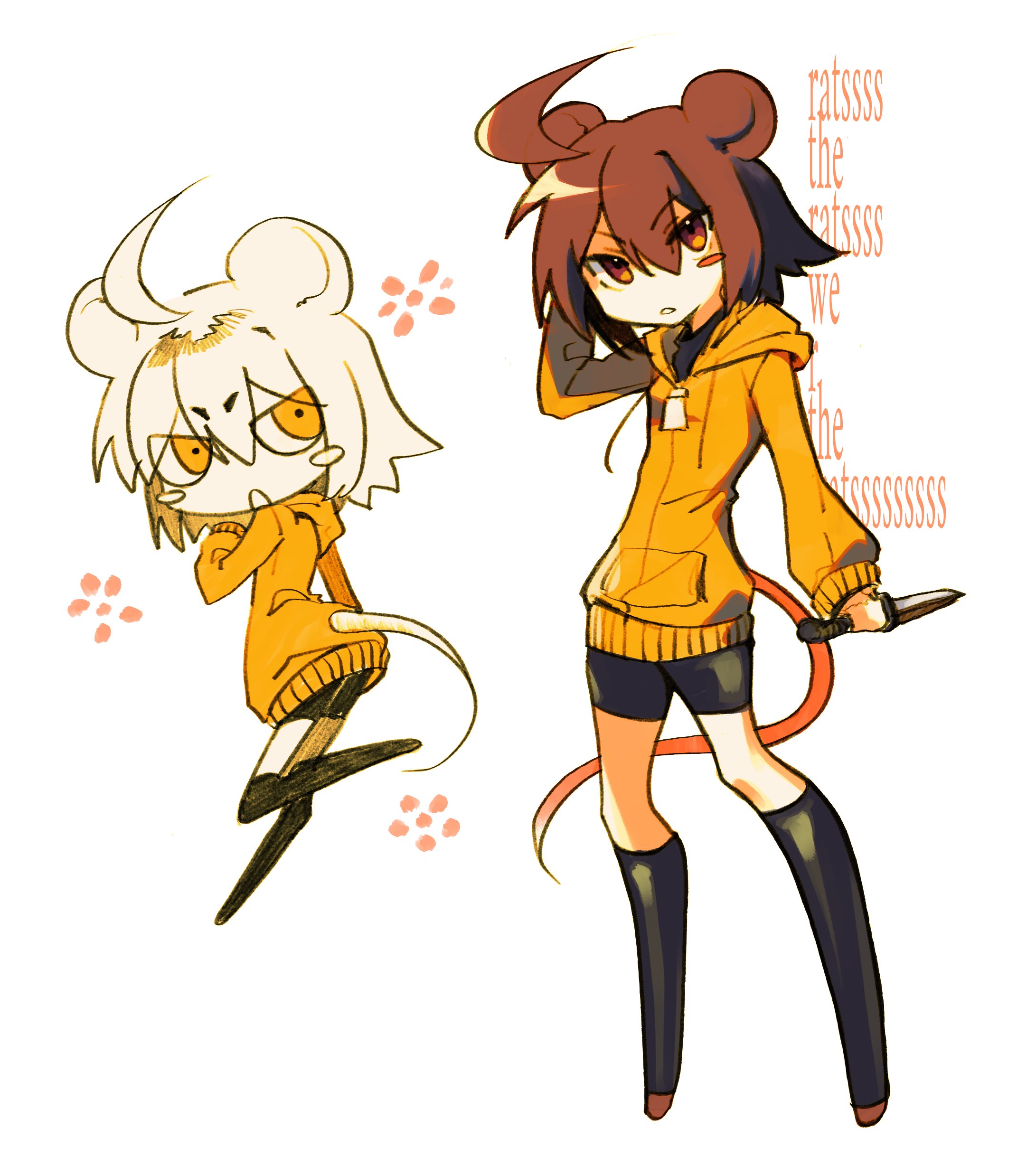 来兎様 RAITO/来兎 (@lisa_rec) / X