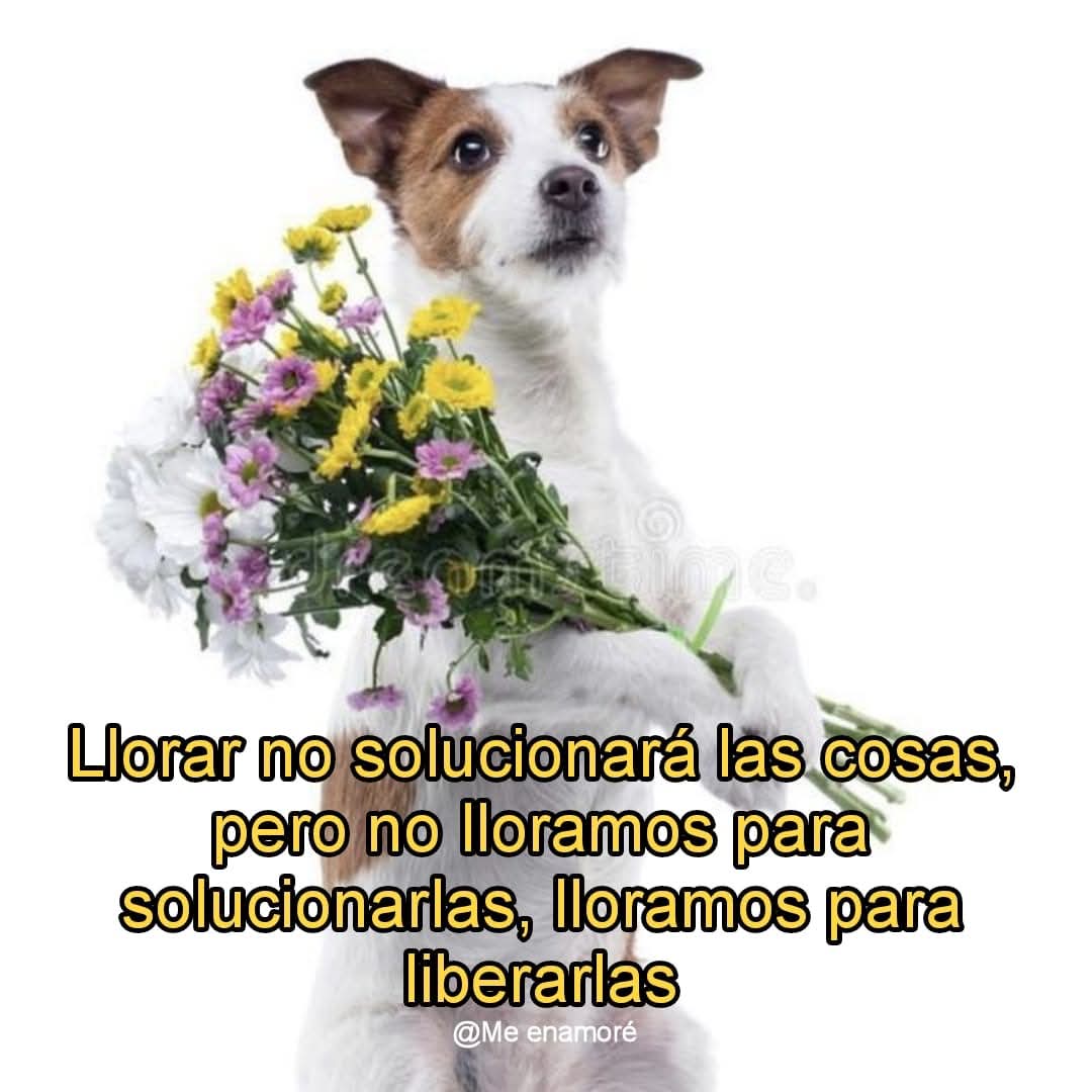 Mundo__Paisajes's tweet photo. https://t.co/ozwJV2UK0w