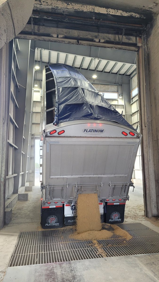 Tim VanGilst 🚛🌾🌽🇨🇦🇳🇱 tweet media