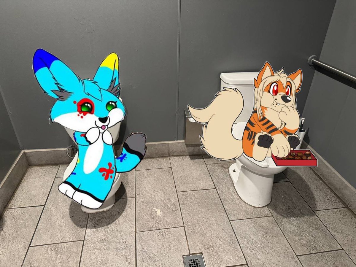 SplatFennec's tweet image. Group pooping starts at 6pm sharp
