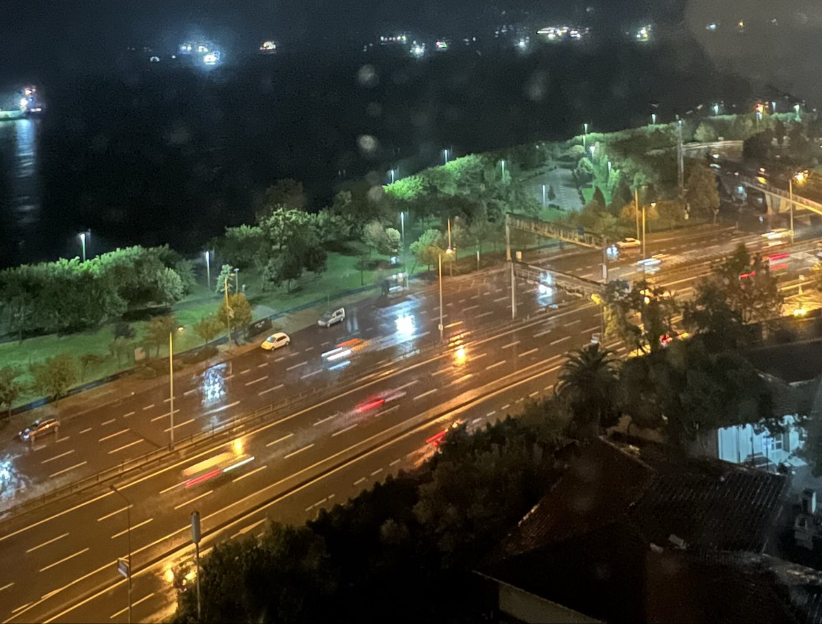 خلفَ النافذةِ
تعطّلَ مقودُ الزمنِ
والشوارعُ أعلنتِ الحدادَ