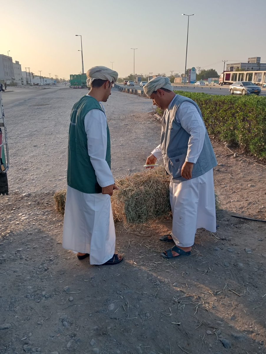 MAFWR_SBATINAH's tweet photo. ضمن جهودها التوعوية والرقابية، نفّذت المديرية ممثلة بدائرة الرقابة قسم الرقابة الحيوانية بالتعاون مع إدارة حماية المستهلك ببركاء زيارة ميدانية للمزارع، بهدف توعية المزارعين والباعة بضرورة الإلتزام بأوزان وأسعار الحشائش وضمان تطبيق الأنظمة المعمول بها. https://t.co/cBj8LiY7Zc