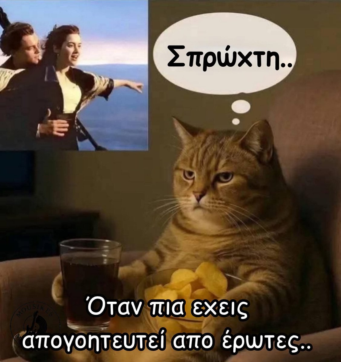 Red parrot tweet media