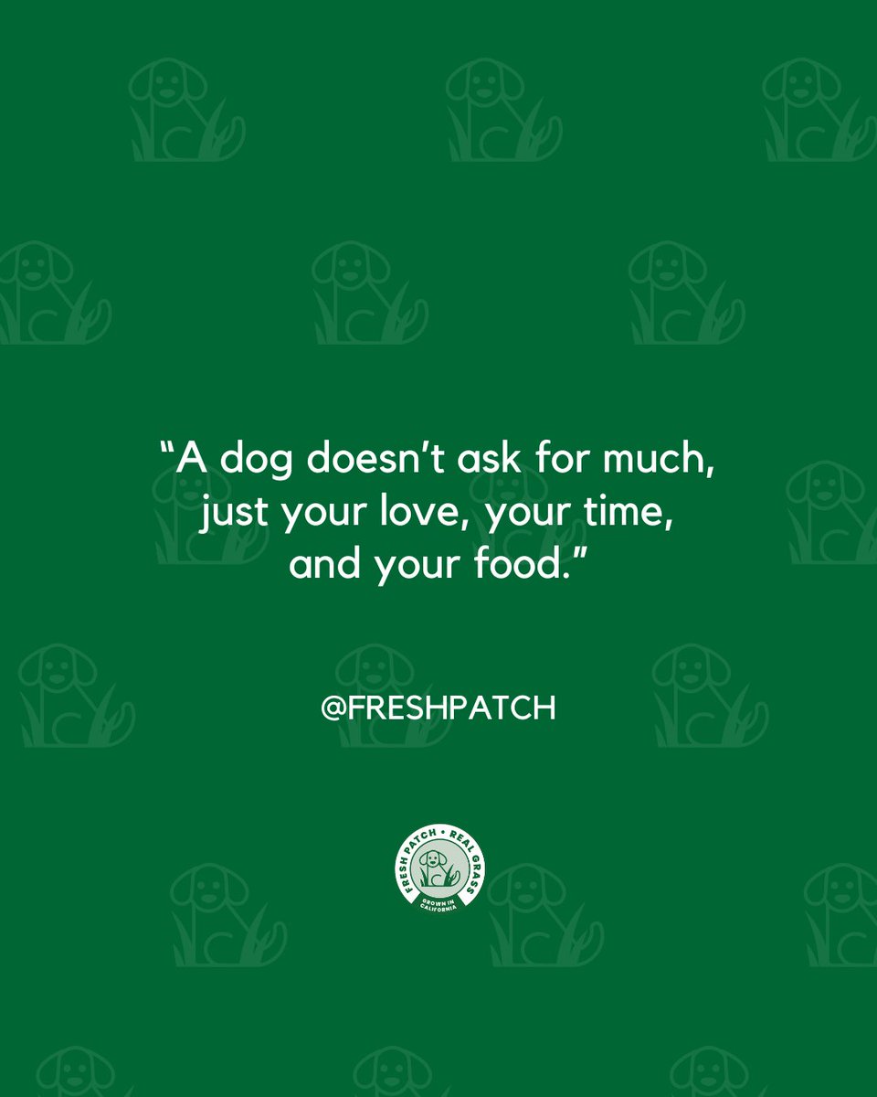 FreshPatch's tweet image. Not much at all, but just watch your food 😅

#FreshPatch #DogLover #DogParent