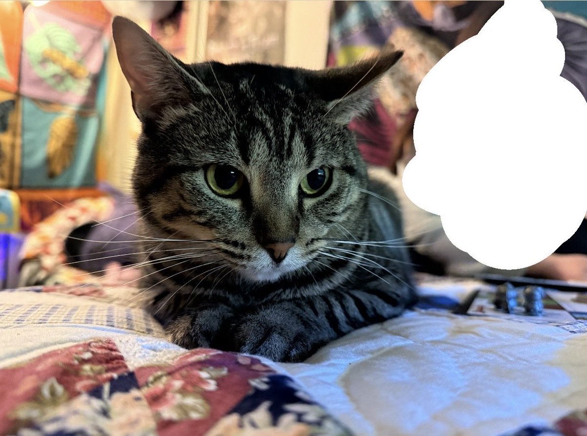 chewberts's tweet image. scout played monopoly with us last night. she lost and was not happy.