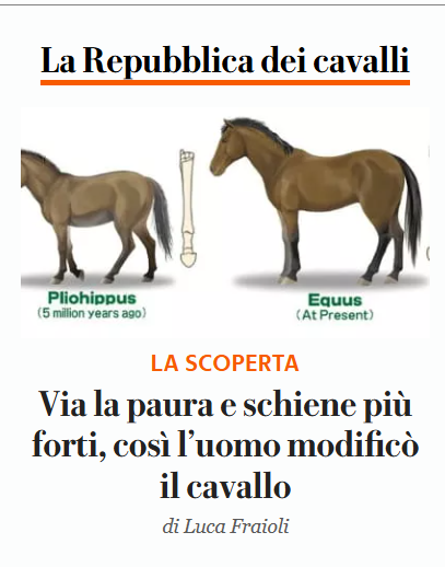 Vedendo la forma del presunto osso pensavo si parlasse di altro...