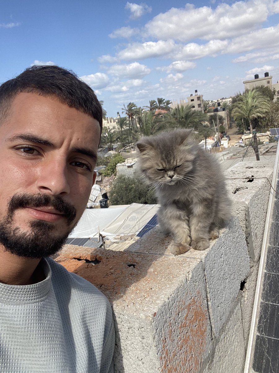 MY CAT LULU IS VERY SAD 🐈💔.
NO ONE CARES ABOUT HER, NO ONE ASKS ABOUT HER, AND NO ONE OFFERS ANY HELP 💔.
HAVE YOU ALL FORGOTTEN ABOUT LULU THE CAT!!
PLEASE MY FRIENDS, LET’S ALL SHARE THIS POST SO IT REACHES AS MANY OF LULU’S LOVERS AS POSSIBLE 🐈🙏.