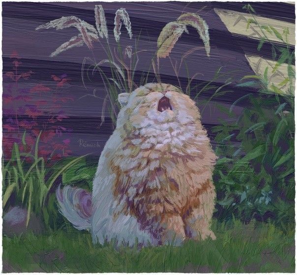 Why you should have a cat (@shouldhavecat) on Twitter photo 