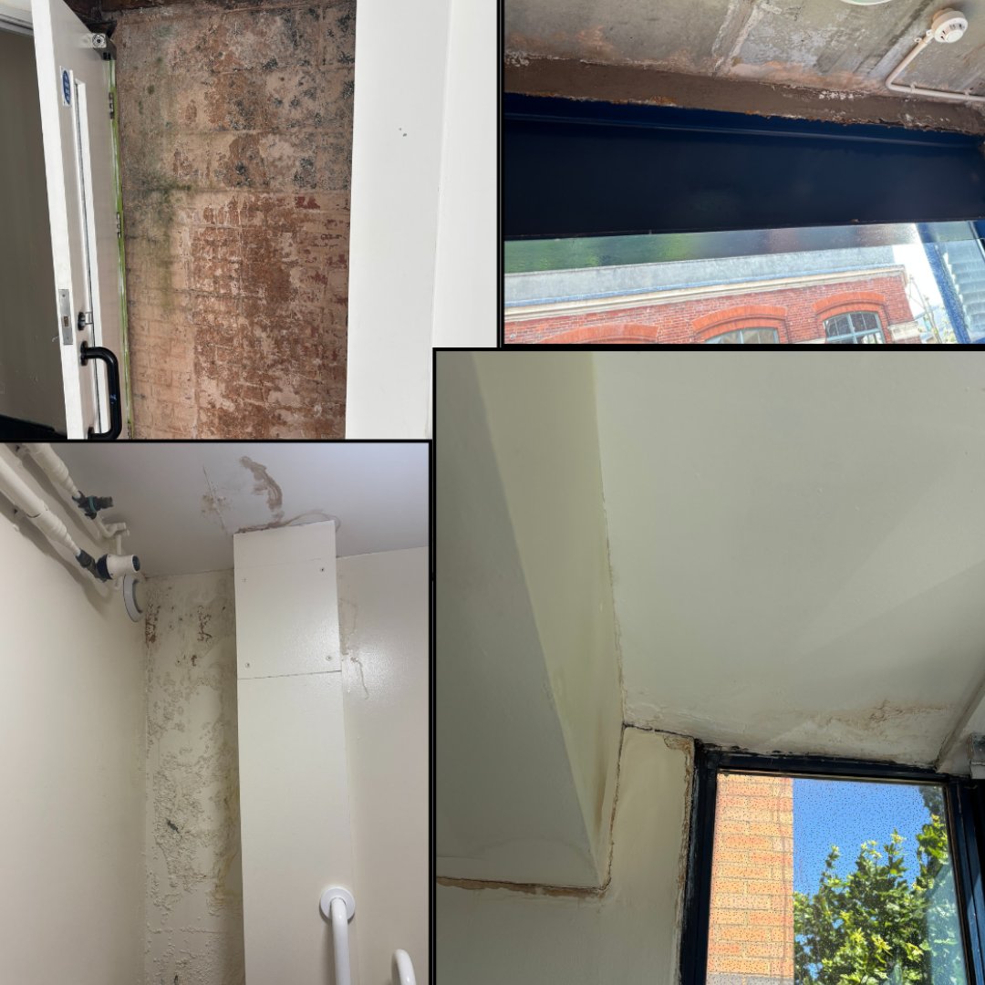 St Hilda's East tweet media