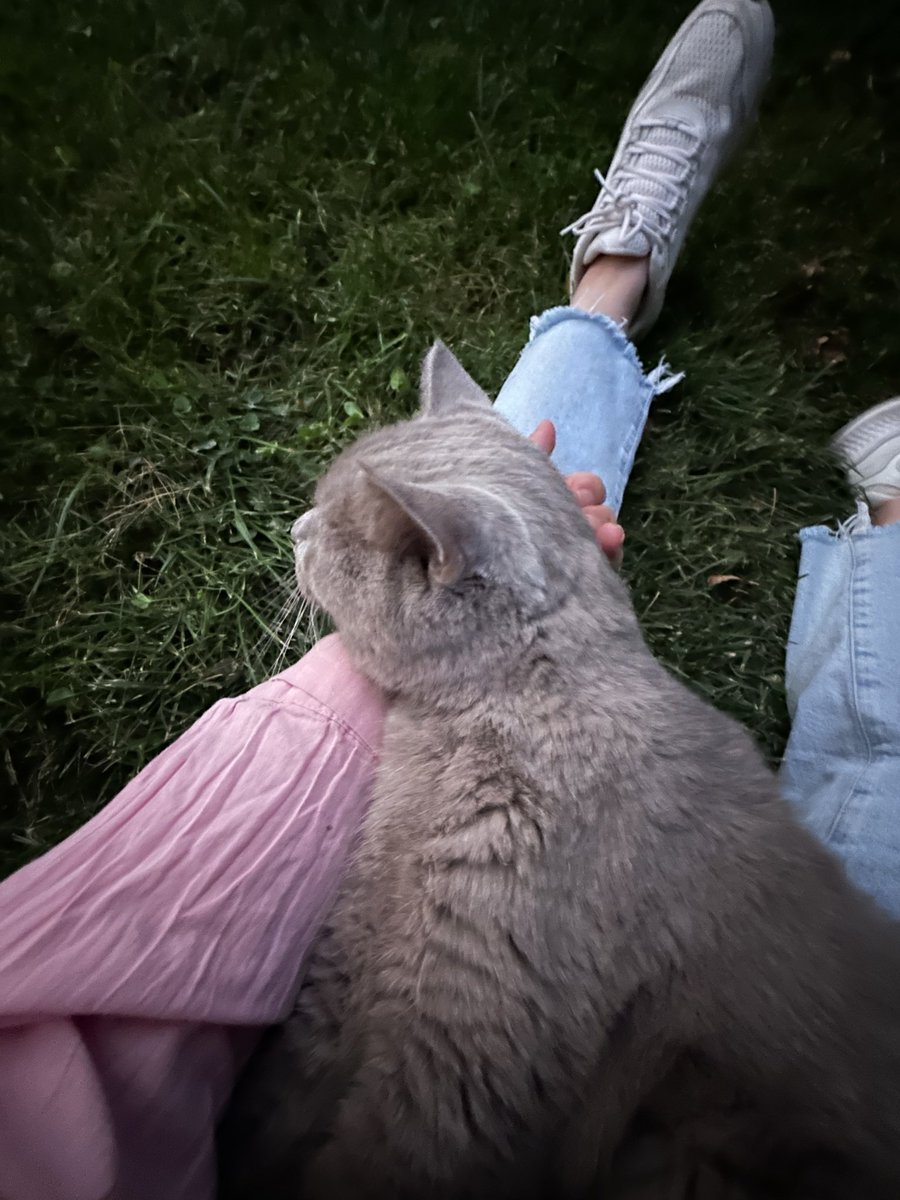 06.10 ♾️ seni çok özledim oğlum. Seni kaybedeli tam 8 gün oldu. Yüreğimden bir parça koptu seni toprağa ellerimle verdiğim gün.  4 senelik yol arkadaşlığın için, her günüme renk kattığın için bana karşılıksız sevmeyi öğrettiğin için minnettarım sana. Yokluğun çok zor …