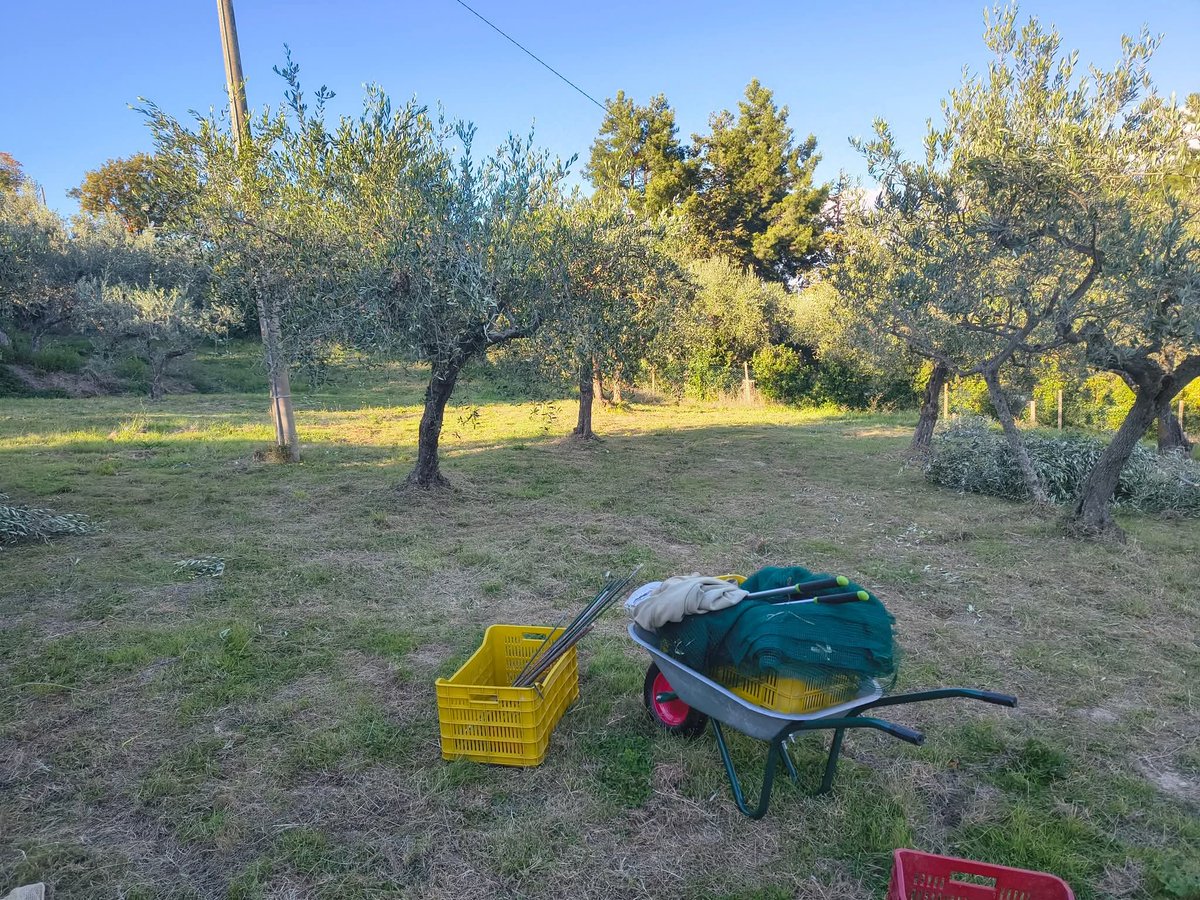 Yo Monteolivo🇪🇺🇮🇹 Umbria Italia. tweet media