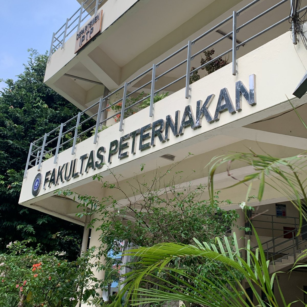 ulinanotherside's tweet image. 🐂🩺🌲🐦‍🔥