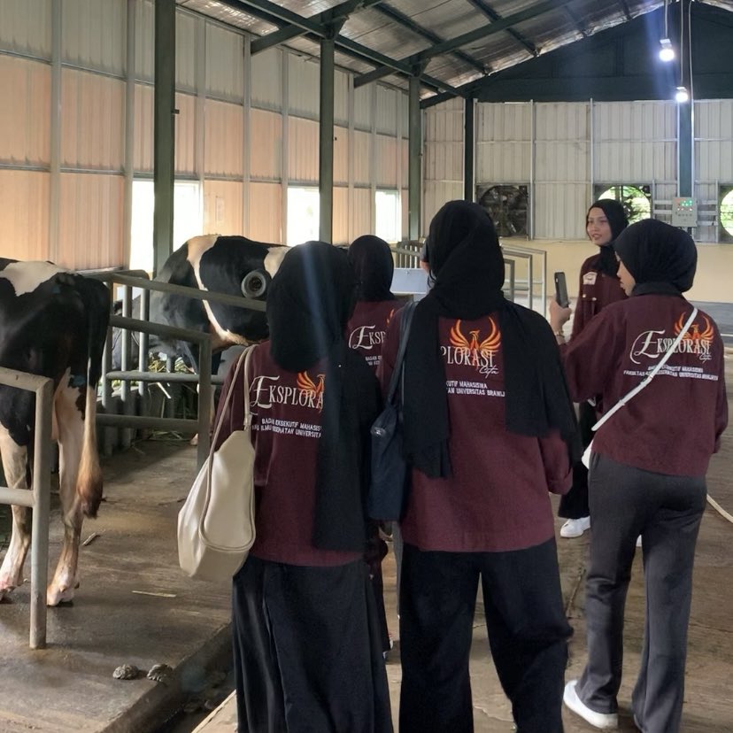 ulinanotherside's tweet image. 🐂🩺🌲🐦‍🔥