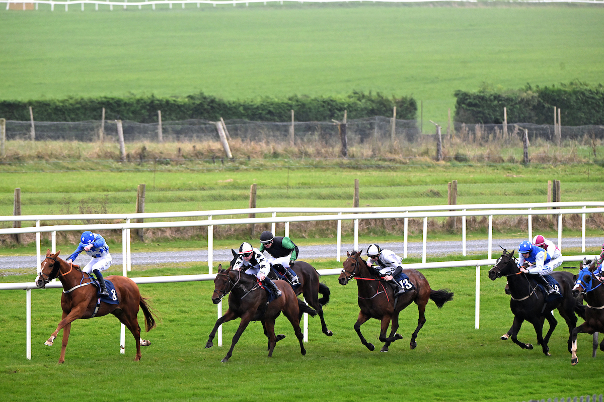 Roscommon Racecourse tweet media