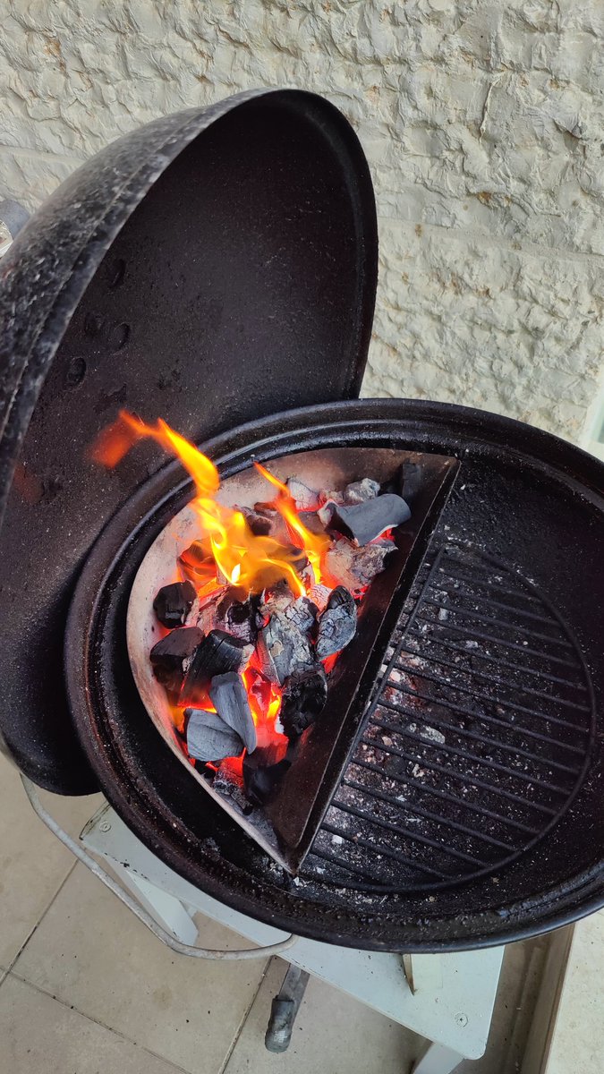 hmemcpy's tweet image. Commencing dinner.
Pro-tip: master two-zone cooking, get yourself a slow-n-sear