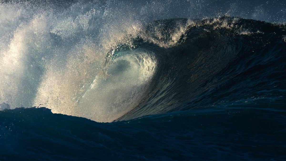 WildSeascapes's tweet image. The ocean awakens.