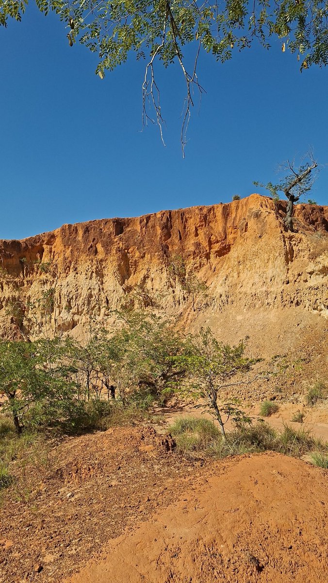 victorambeva's tweet photo. Marafa Hell's Kitchen in Kilifi County is a geological formation - a canyon carved by wind and water. A beautiful sight with striking colors and features. https://t.co/5bzT7NlwOI