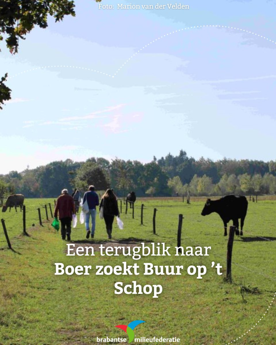 Tijdens Boer zoekt Buur op 28 september ontdekten buren van Bioboerderij ’t Schop in Hilvarenbeek hoe duurzaam boeren er in de praktijk uitziet: van bodemgezondheid tot fermenteren en koken met lokale oogst 🍅✨

Wil jij ook biobuur worden? Lees meer:  brabantsemilieufederatie.nl/nieuws/blije-g…