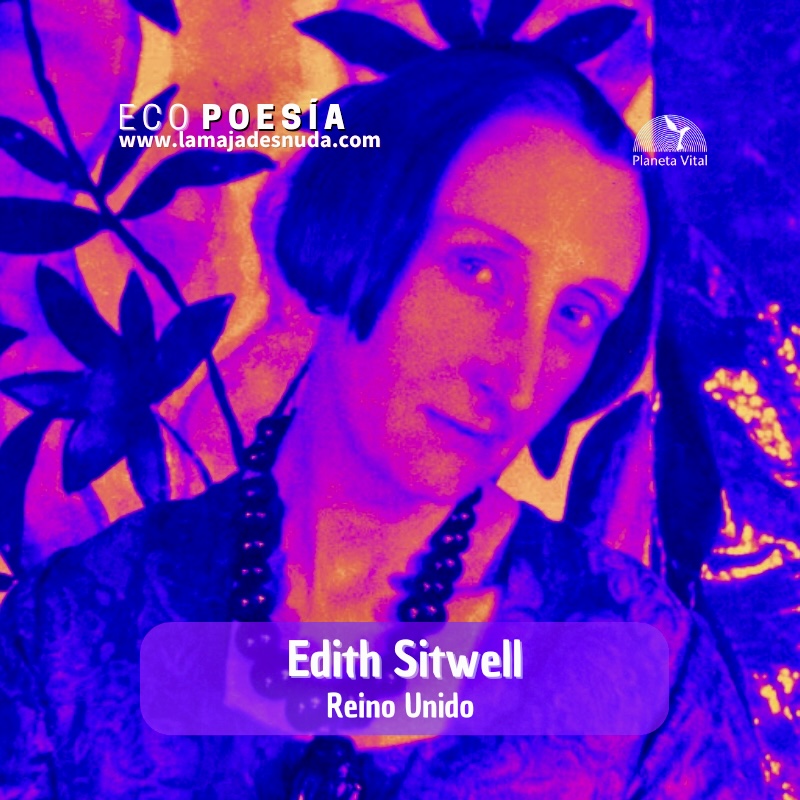 lavalero tweet media