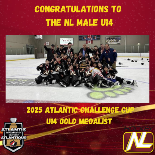 Hockey NL tweet media