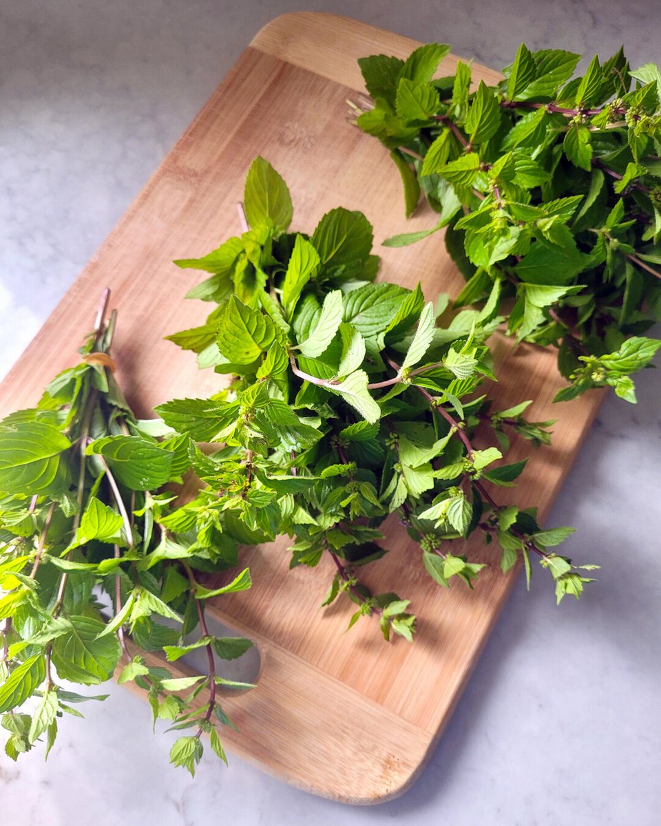 RusticWise's tweet image. 🌿 Mint bundles. 🌿 With the cool weather officially here, we've been busy preserving plants from the garden. Nothing beats a cup of mint tea using herbs you've grown yourself. 🍵

#mint #herbs #herbgarden #growyourown #mintleaves #minttea #dryingherbs #gardening #gardeningX