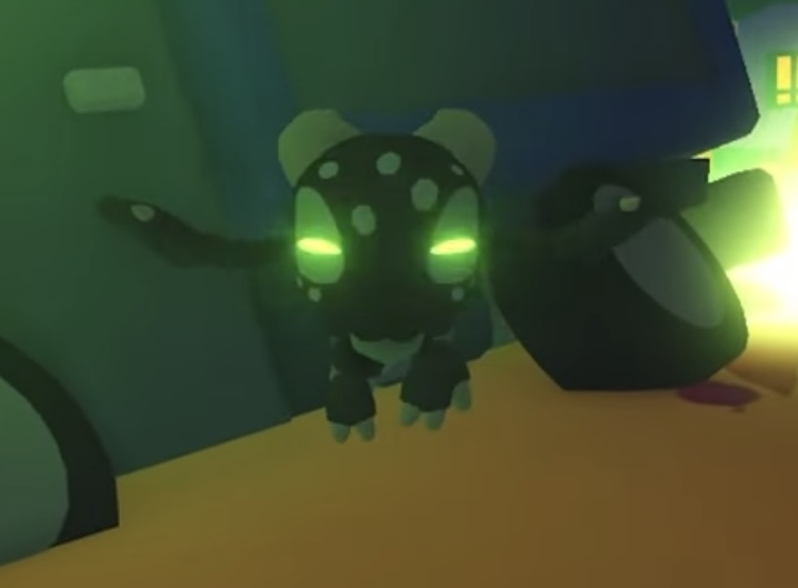 Uplift Alliance 🔎 tweet media