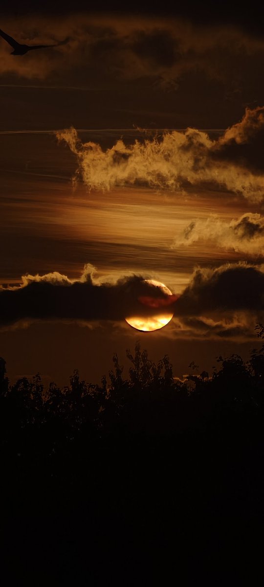 inspirednatur's tweet image. Abendsonne hinter Wolken

15x Zoom 

#vivox100ultra #nd1000filter #cplfilter