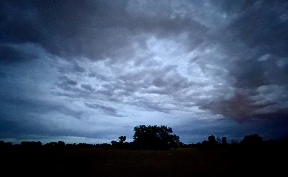 D Miller tweet media