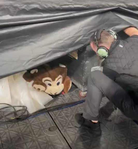 Real question - Will the doc explain this??? Because I need answers.