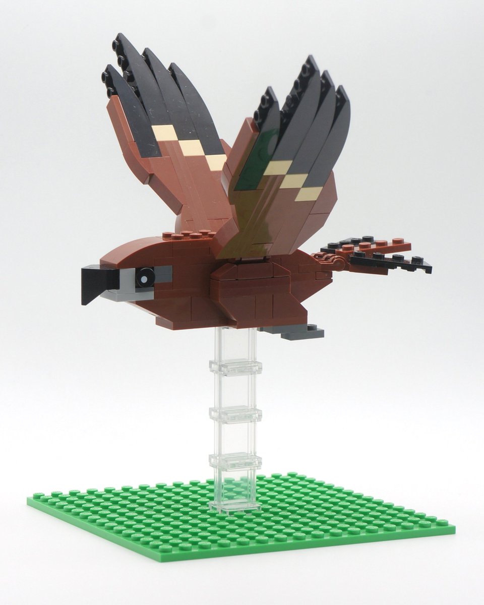 にゃんぷるワールド (@nyample) / Posts / X