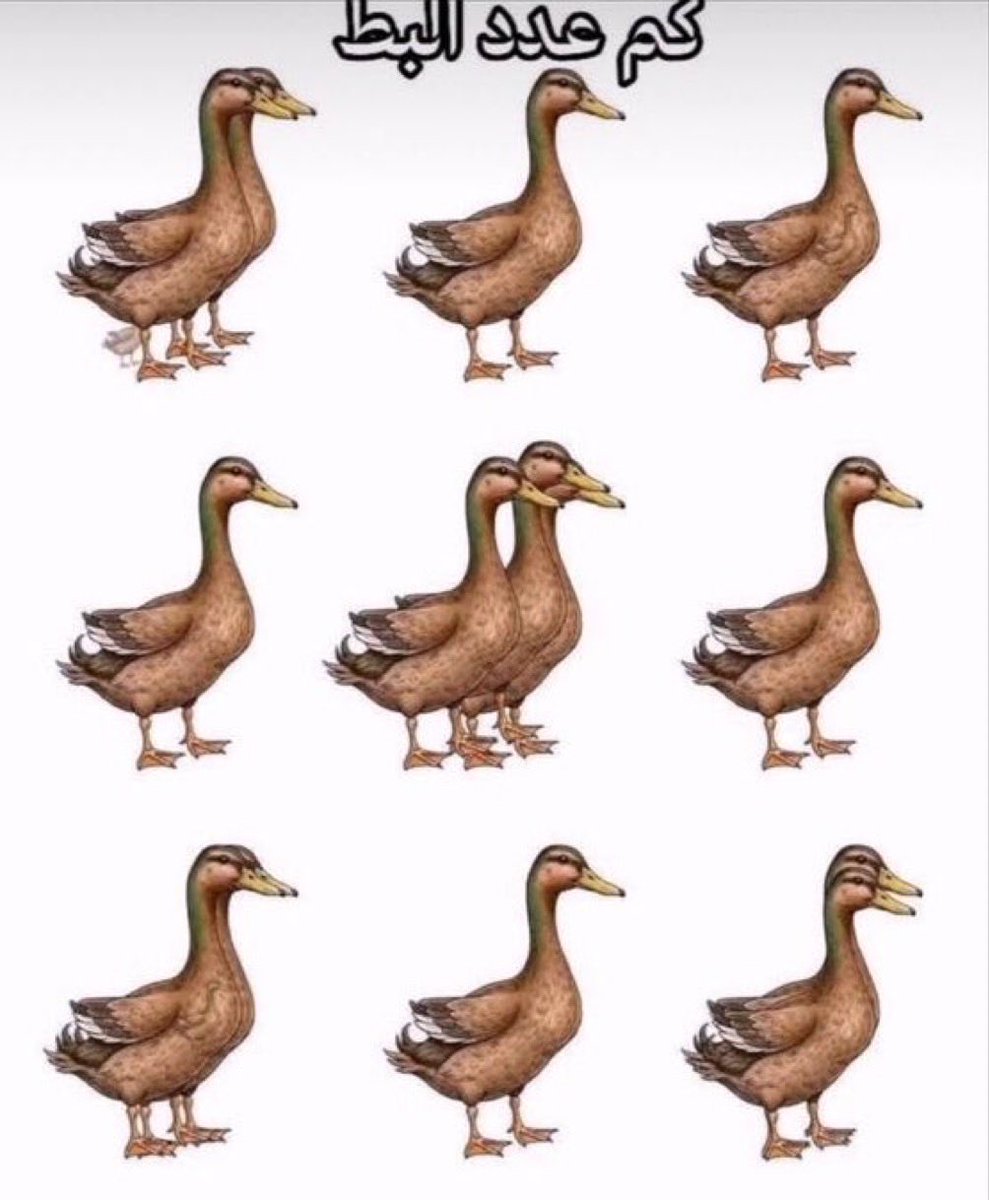 سكندز tweet media