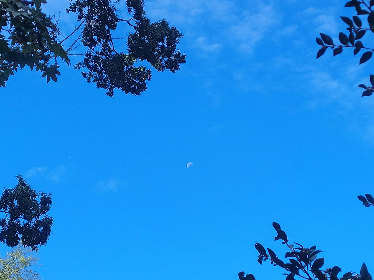 Thought it was a cool vantage point of the moon
