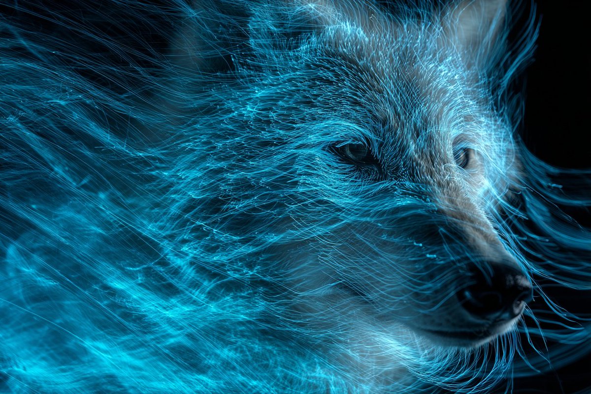 LudovicCreator's tweet image. 🎨 KINETIC LIGHT PORTRAIT 🎨

Prompt  :

A Kinetic Light Painting Portrait of [SUBJECT], formed by swirling light trails in vibrant hues of [COLOR1] and [COLOR2]. The subject&apos;s form emerges from the dynamic interplay of light, creating an ethereal and energetic representation.…