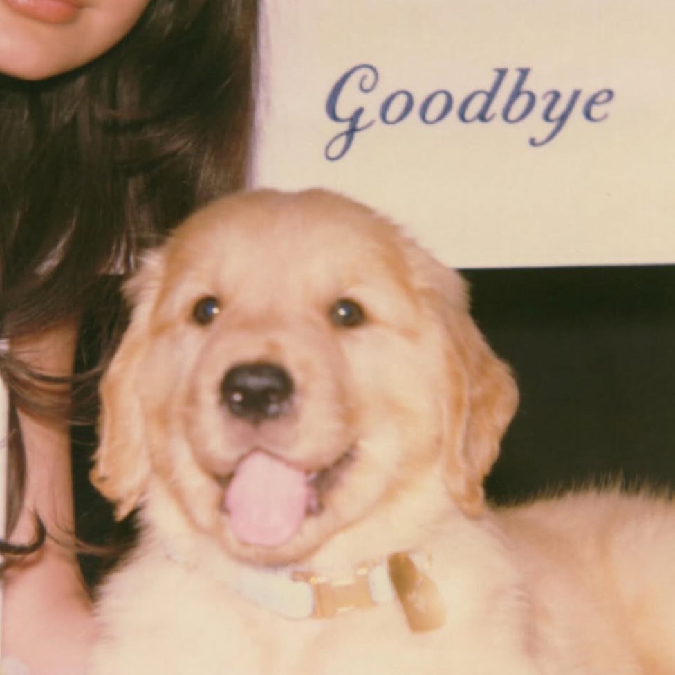 missdumbnpoetic's tweet image. MY MANS IN                       MY MAN WONT 
TOUCH WITH HIS           TOUCH ME WITH
EMOTIONS                            A 20FT POLE