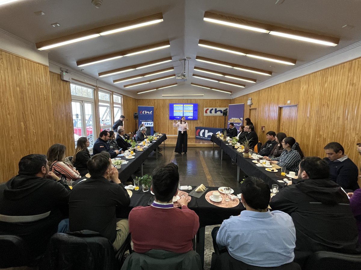 CChC Magallanes tweet media