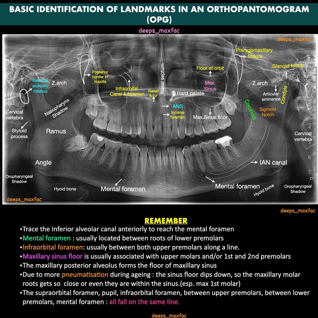 Pediatric Dentistry tweet media