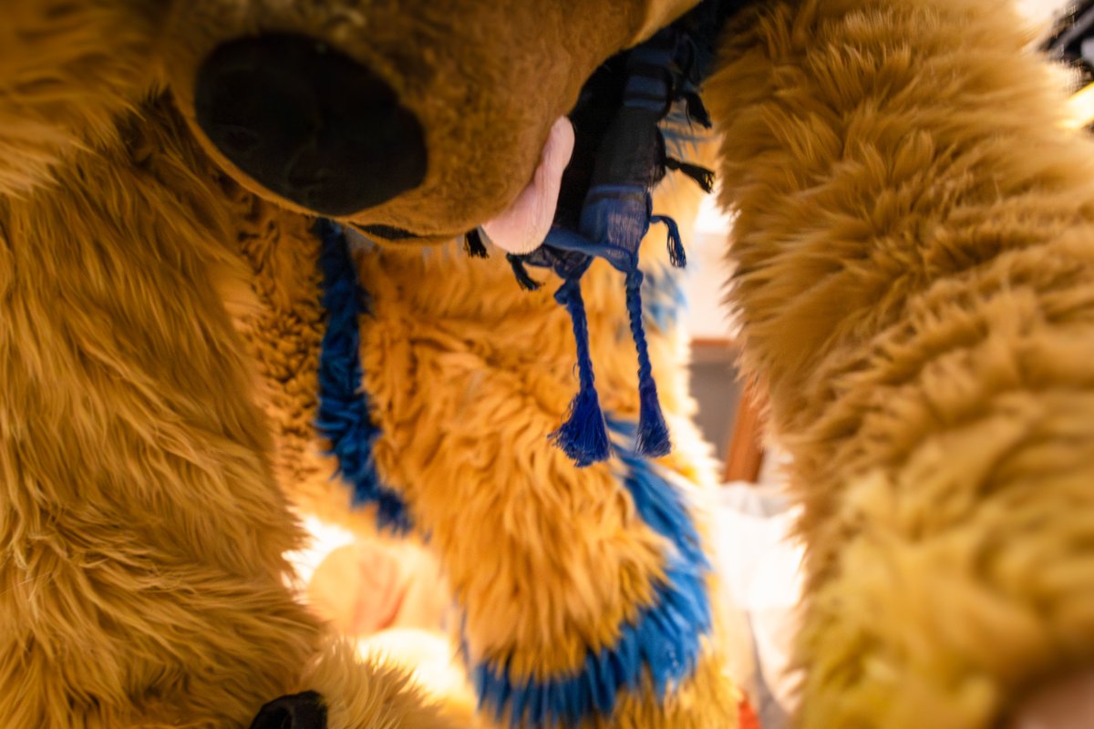 Shep Neutron tweet media