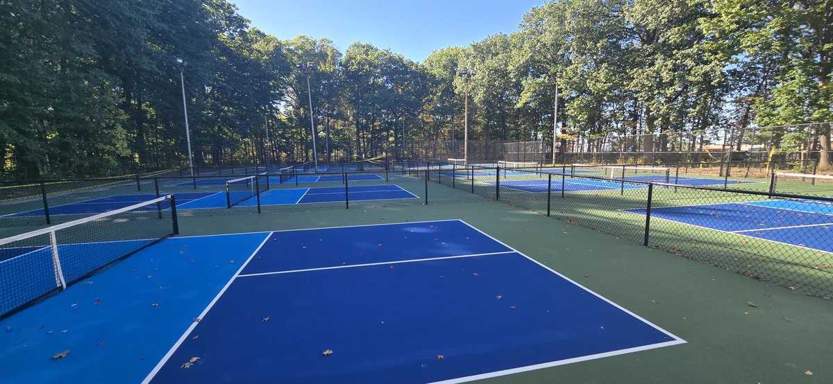 The courts are calling! Play on these new, outdoor pickleball courts at Sanborn Park while it's still warm. Located in the northwest corner of Sanborn Park, these courts are free for the public to use.

Thank you Michigan Department of Natural Resources Trust Fund grant!