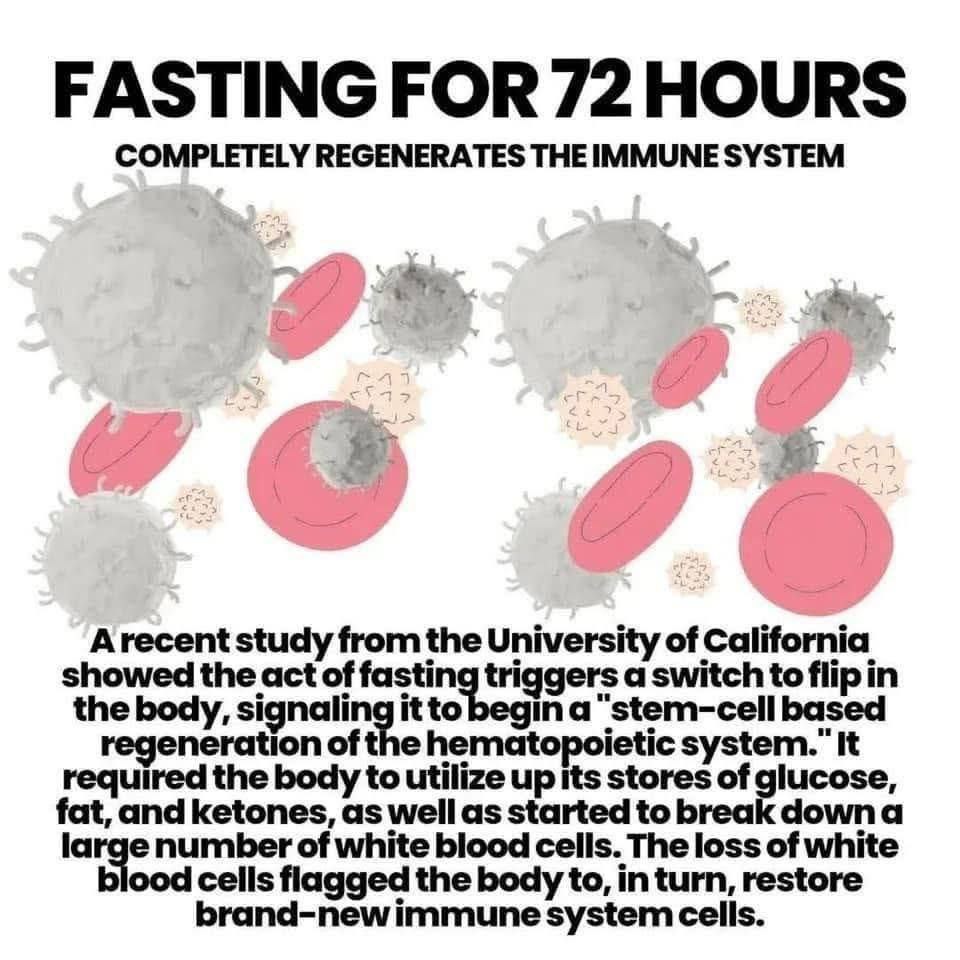 newstart_2024's tweet image. 72 hours without food can completely REGENERATE your immune system.

A groundbreaking USC study found that a 3-day fast flips a "metabolic switch," forcing your body to:

- Deplete old fuel stores

- Break down old, damaged white blood cells

- Trigger stem cells to build a brand…