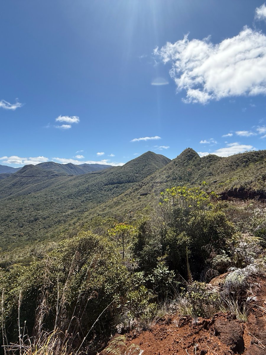 NewCaledonia's tweet photo. ๐ Go Off-Road in Dumbรฉa! ๐ฟโจ
Just 30 minutes from Noumรฉa, the Dzumac Tour takes you deep into New Caledoniaโs wild bush on a guided 4x4 buggy adventure. ๐๏ธ
Ready to explore? Learn more here โก๏ธ https://t.co/t1qb5YKU3C
#NewCaledonia #Dumbea #DzumacTour #WildNewCal https://t.co/mIywVxcKL0