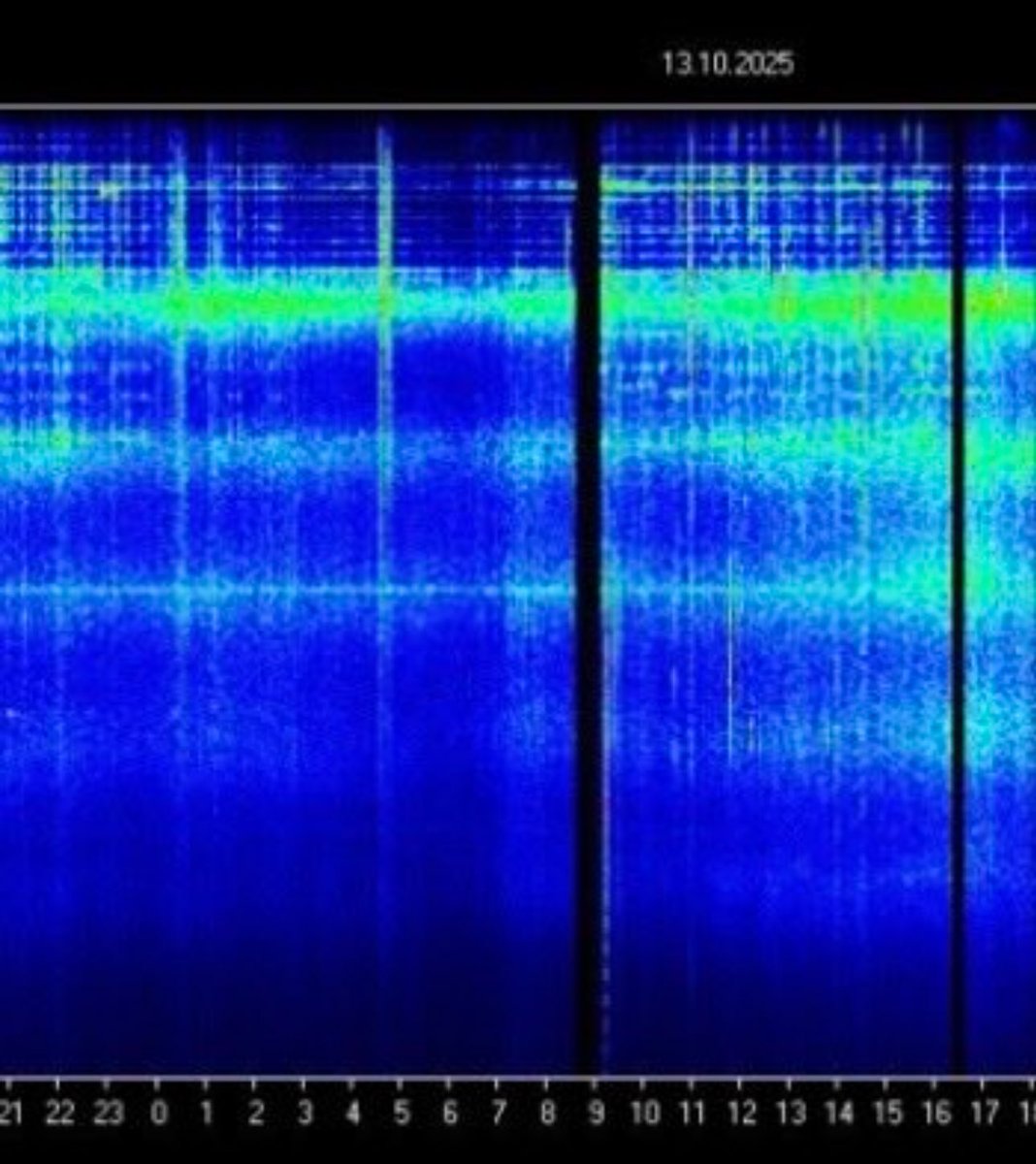 Concerned Citizen tweet media