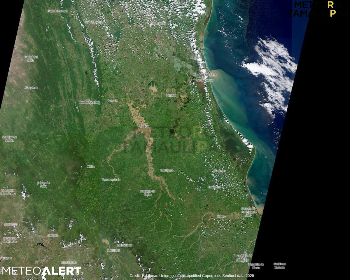 🌊😣 SEVERAS INUNDACIONES

Desbordamientos de ríos y extensas zonas anegadas en la Huasteca potosina y veracruzana.

📍El tono café en la imagen satelital refleja las áreas cubiertas por agua, especialmente en #ElHigo y #Tempoal.

🛰️ Imágenes satelitales correspondientes al