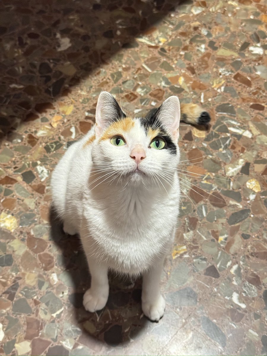 Qué locura de guapura 🧡🥵