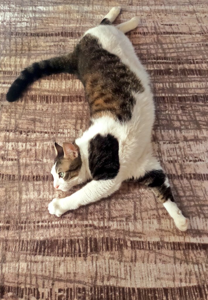 Komşu eşime kaç çocuk var diye sormuş o da 2 kızım var demiş . 2 kız mı oğlun yok mu senin yaa demiş.
Oğlum var evet 😁
Severken kendimden geçip biraz fazla sesli seviyorum sanırsam.
Deli sevengillerdenim 
Oğlum da aha bu 😂
Nasıl çok datlu dimi annesinin paşası bal oğlum 😍🥰😂