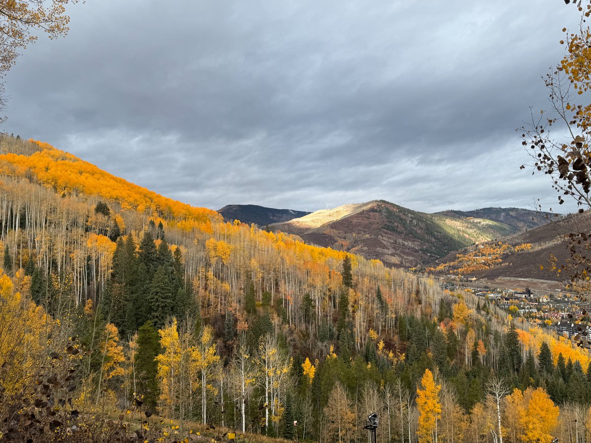 Beth Darnall, PhD tweet media