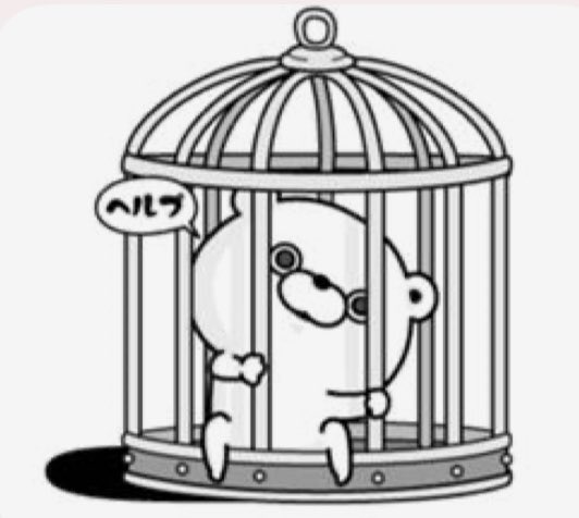 お🦷ようございます🌞

10月なのに、意外とまだ暑いよね🙄
日差しはちゃんと秋めいて、短くなってきたけど、気温は…。
そうでもない。