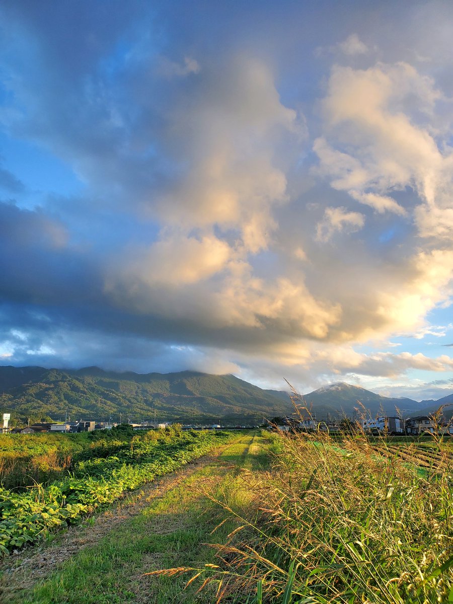 秋の散歩道
#大江山
#わたしの与謝野
#与謝野町
