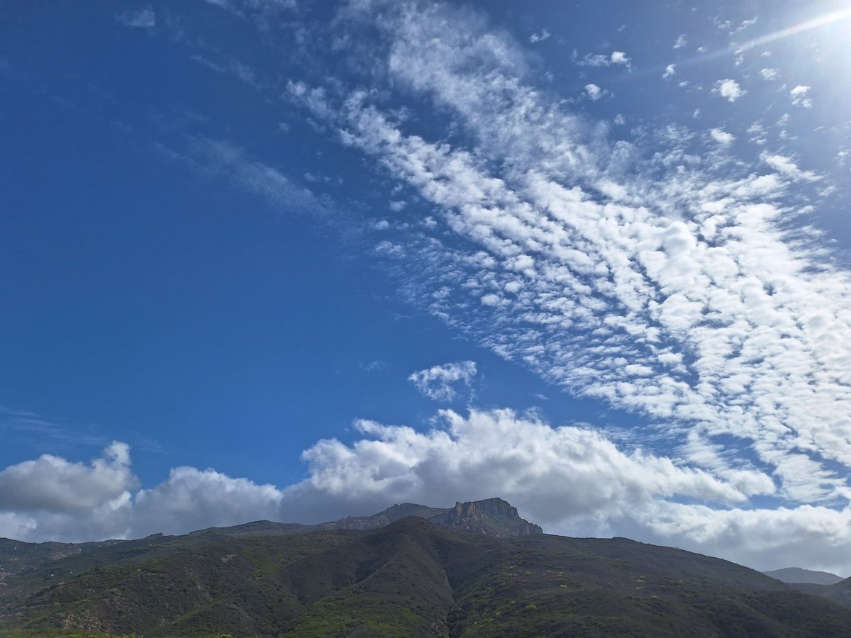 CLee71's tweet image. 